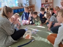 Dentální hygiena a hygiena rukou_17