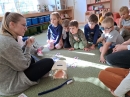 Dentální hygiena a hygiena rukou_18