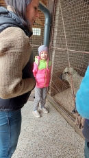 Na farmě_15