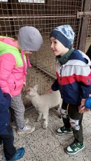 Na farmě_16