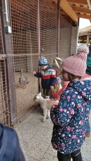 Na farmě_17