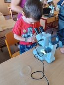 Vzdělávací program ,,Včely za sklem