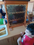 Vzdělávací program ,,Včely za sklem