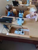 Vzdělávací program ,,Včely za sklem