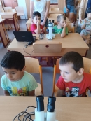 Vzdělávací program ,,Včely za sklem