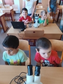 Vzdělávací program ,,Včely za sklem
