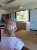 Vzdělávací program ,,Včely za sklem