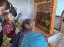 Povídání o včelách na Masarykové střední škole zemědělské v Opavě_1