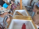 Povídání o včelách na Masarykové střední škole zemědělské v Opavě_5