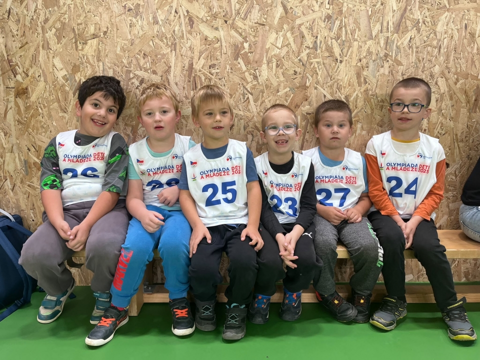 Olympiáda handicapovaných sportovců 2026